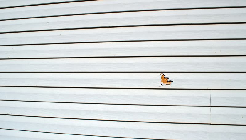 Maintenance and Upkeep